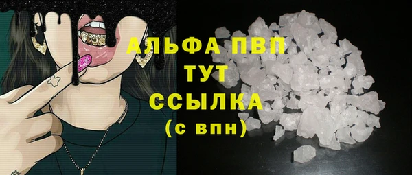 стафф Тавда