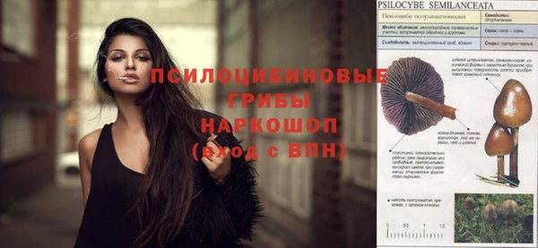 стафф Тавда